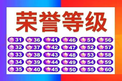 等级号服务